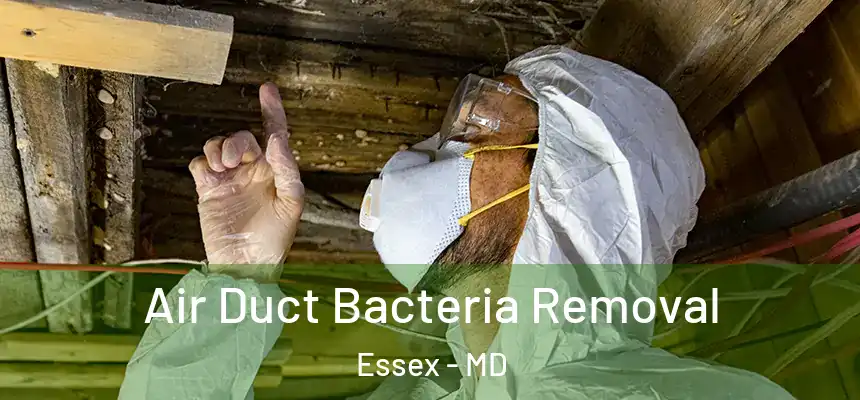  Air Duct Bacteria Removal Essex - MD