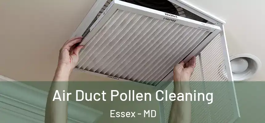  Air Duct Pollen Cleaning Essex - MD