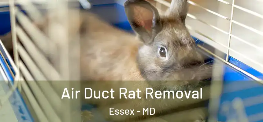  Air Duct Rat Removal Essex - MD