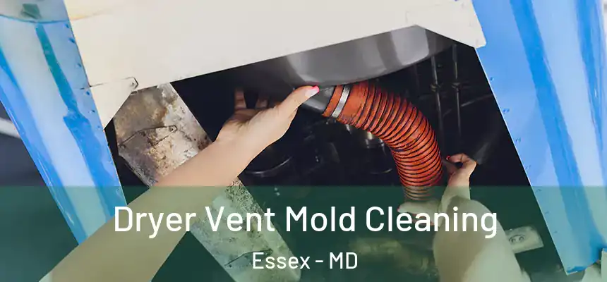  Dryer Vent Mold Cleaning Essex - MD