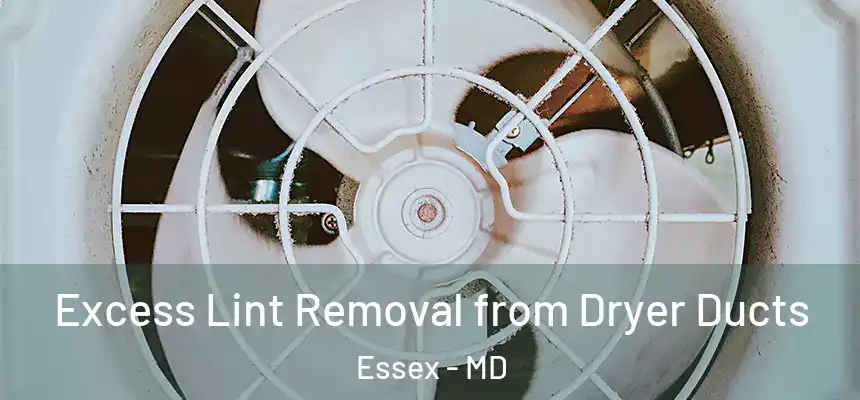  Excess Lint Removal from Dryer Ducts Essex - MD