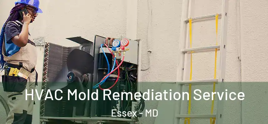  HVAC Mold Remediation Service Essex - MD
