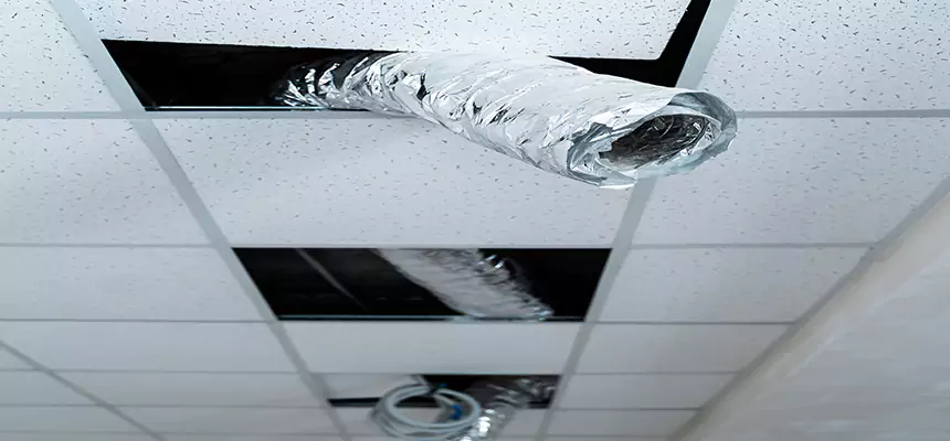 Affordable HVAC Sanitizing After Pest Removal in Essex