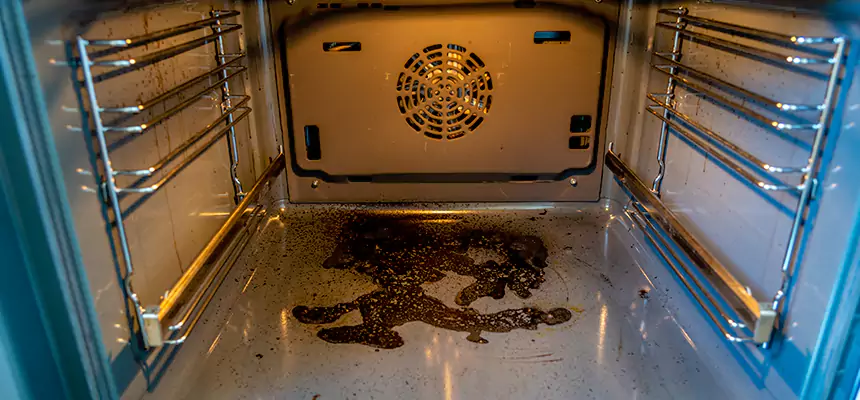 Our Dryer Vent Mold Cleaning Services in Essex, MD