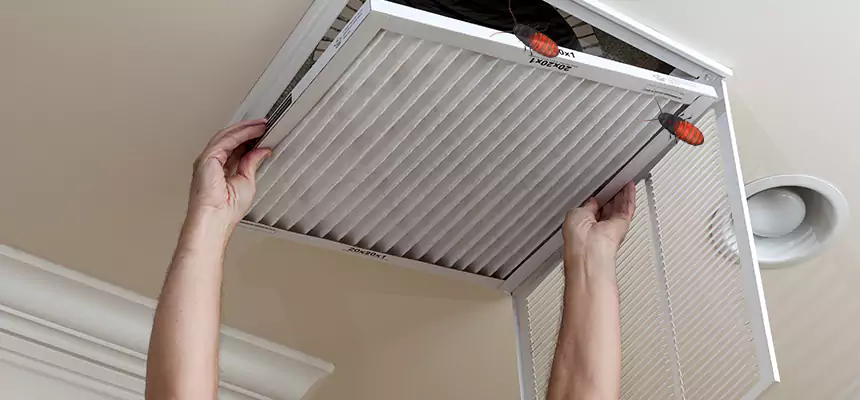 Our Insect Removal from Air Ducts Services in Essex, MD