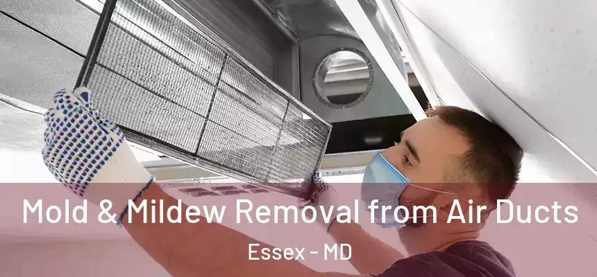 Mold & Mildew Removal from Air Ducts Essex - MD