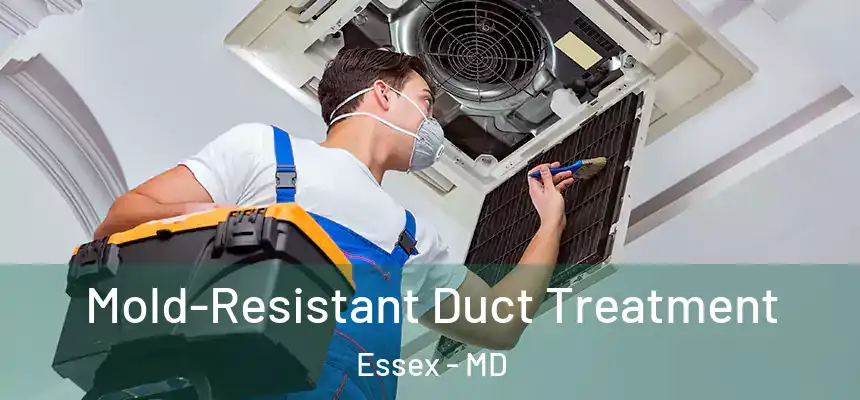  Mold-Resistant Duct Treatment Essex - MD
