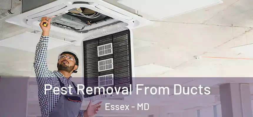  Pest Removal From Ducts Essex - MD