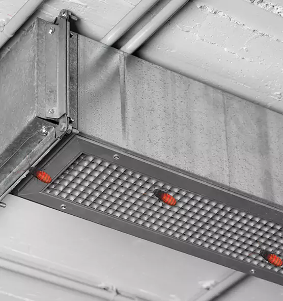 About Air Duct Cockroach Removal in Essex, MD