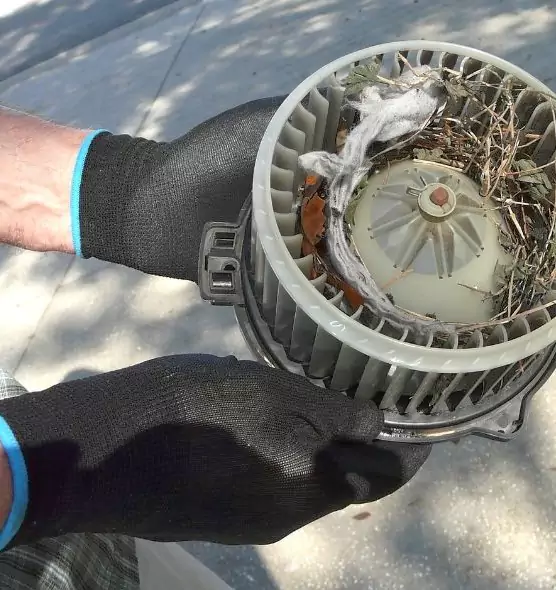 About Air Duct Mice Removal in Essex, MD