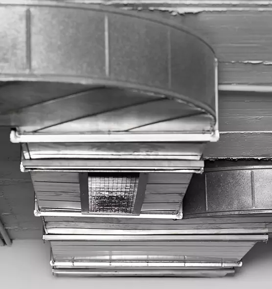 Professional Air Duct Pet Hair Removal in Essex, MD