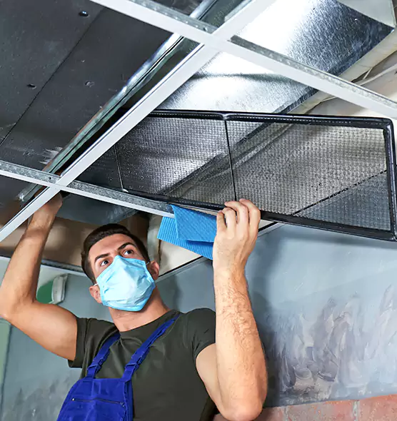 Professional Air Duct Pollen Cleaning in Essex, MD
