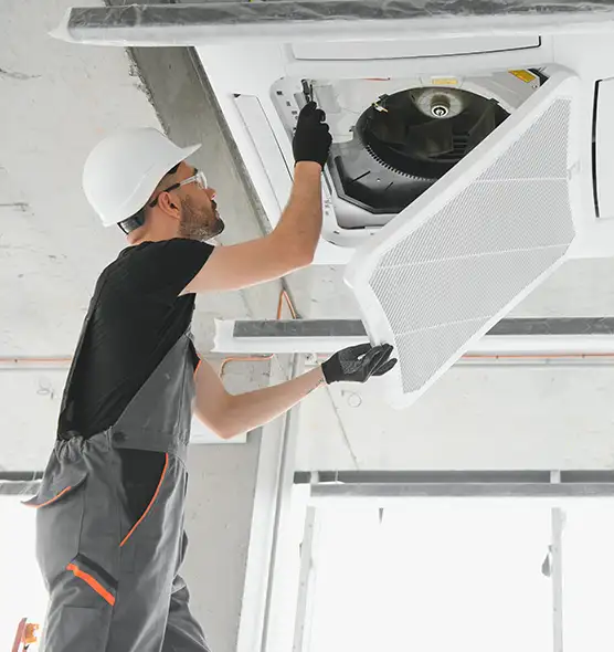 About Air Duct Rodent Removal in Essex, MD