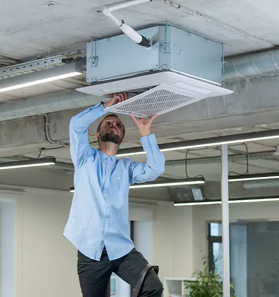 Advanced Rodent Droppings In Vents in Essex, MD