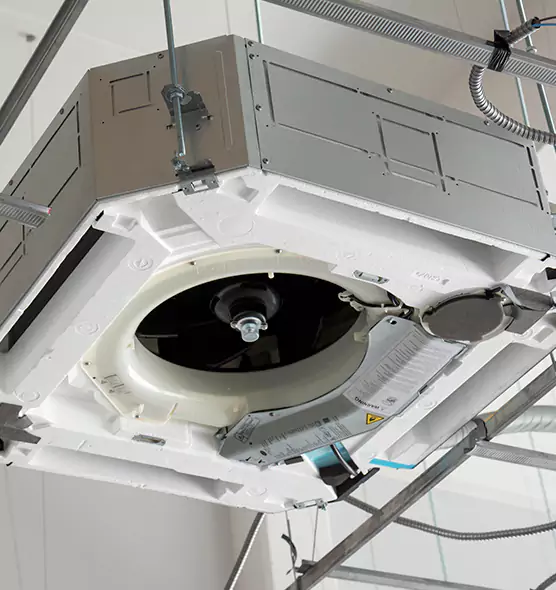 Professional Roof Vent Lint Removal Essex, MD