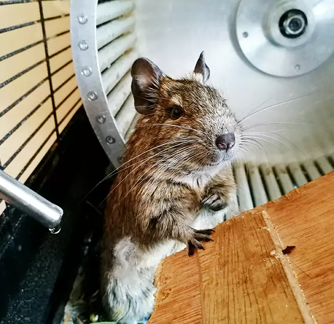 Why Homeowners & Businesses Trust Us Essex, MD?