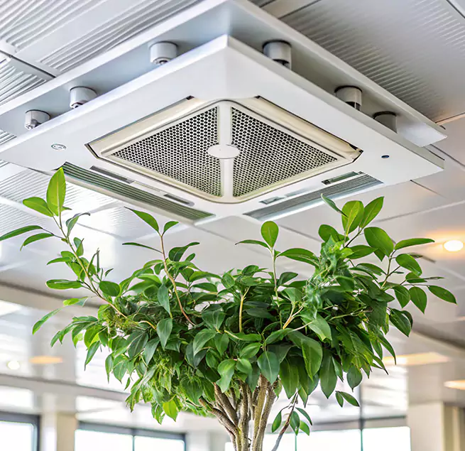 Why Homeowners & Businesses Trust Us in Essex, MD?