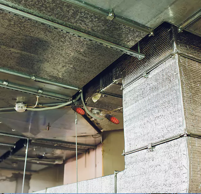 Why Homeowners & Businesses Trust Us Essex, MD?